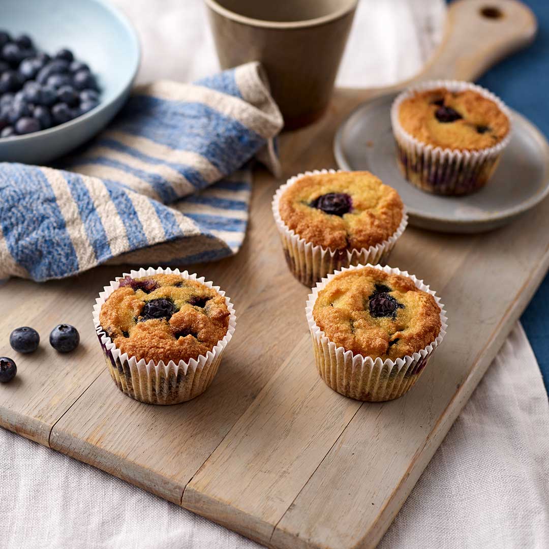 Coconut Flour Blueberry Cupcake Muffins