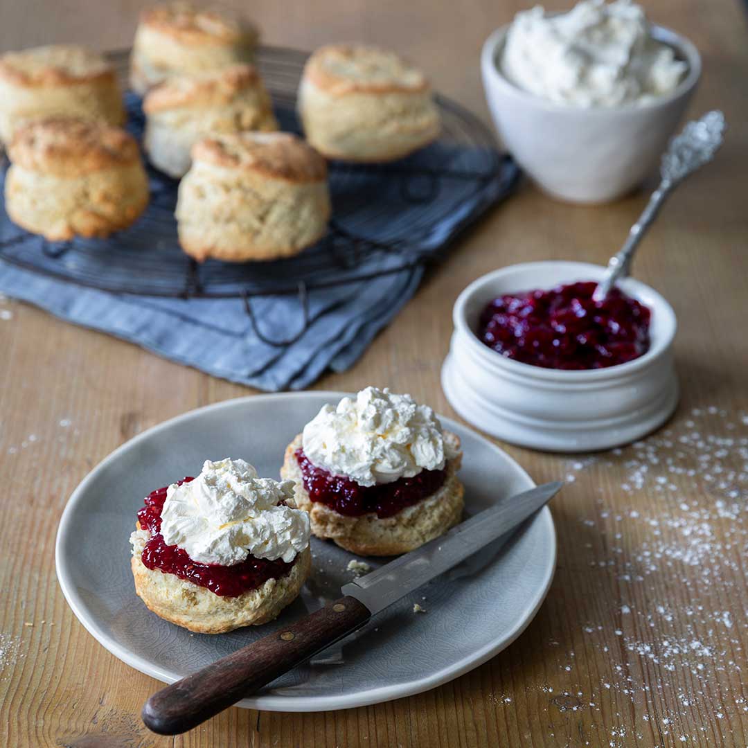 Plain Scones